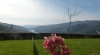 QUINTA DO BENTO 