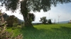 QUINTA DO BENTO 