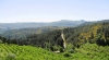 QUINTA DE SILVARES - AGRICULTURA BIOLÓGICA