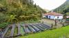 MADEIRA ECOHOLIDAYS