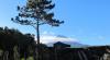 BACO´S VINEYARD