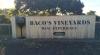 BACO´S VINEYARD