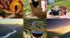 4LANDSCAPE