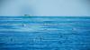 AZOREAN SEASCAPE