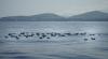 AZOREAN SEASCAPE