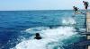 ASK JONAS ABOUT ALGARVE